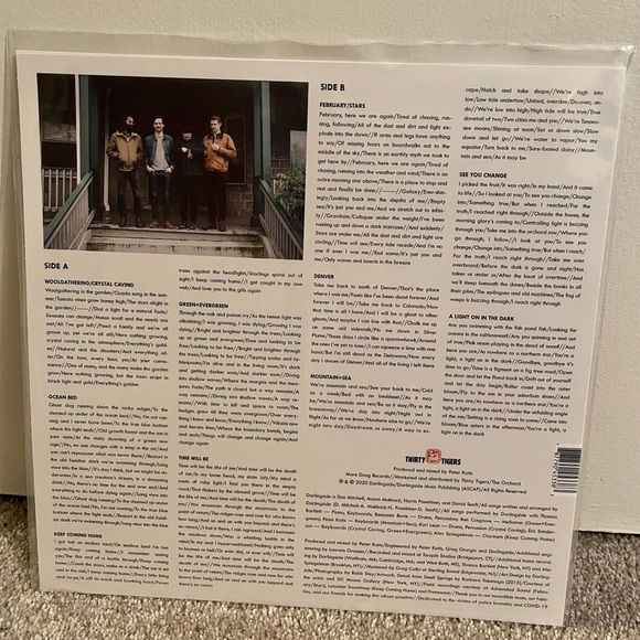 New in plastic Darlingside Fish Pond Fish Vinyl - Picture 7 of 9